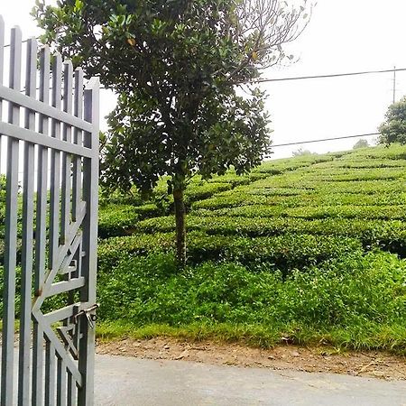 Homestay Moc Chau Luaran gambar