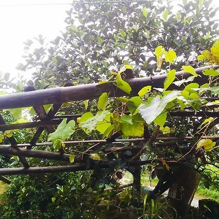 Homestay Moc Chau Luaran gambar