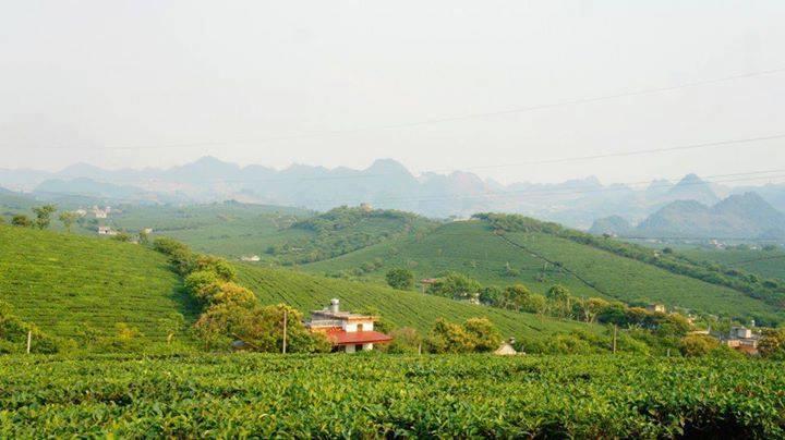 Homestay Moc Chau Luaran gambar